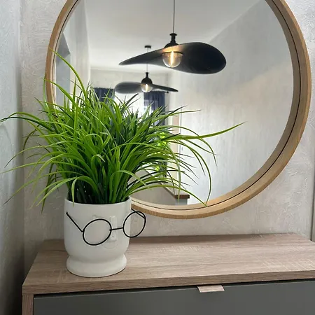 Apartman Penthouse Mira *